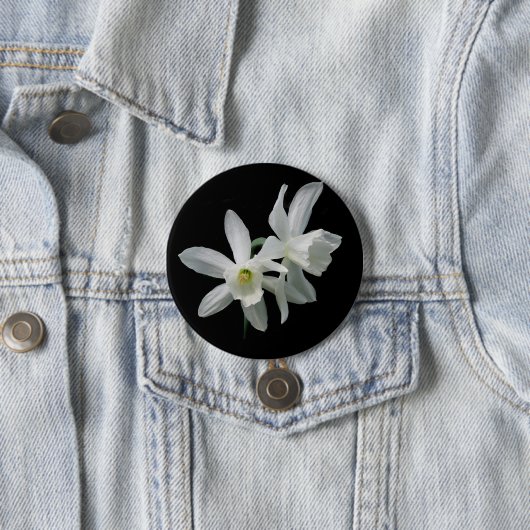 Thalia Narcissus Black en White Daffodil Button (In situ)