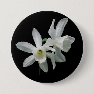 Thalia Narcissus Black en White Daffodil Button