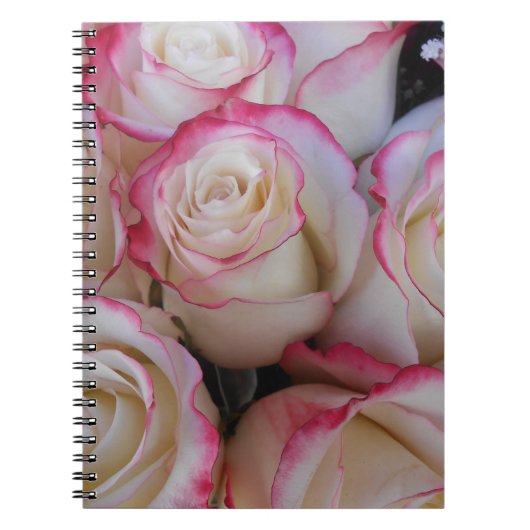 Thamar Notitieboek (Voorkant)