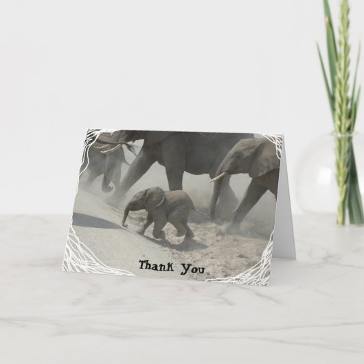 Thank You -   African Elephant Bedankkaart (Voorkant)