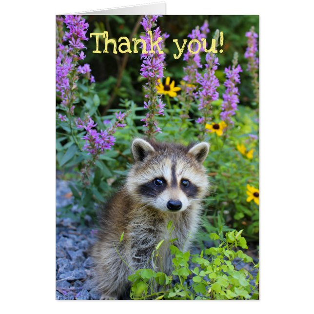 Thank you among the flowers (Voorkant)