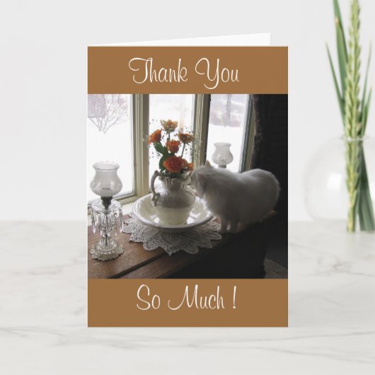 Thank You Bugsy/oranje rozen Bedankkaart (Voorkant)