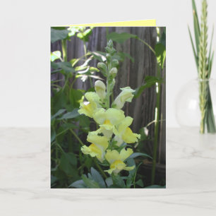 Thank You Card beroemd gemaakt door Janz Bedankkaart