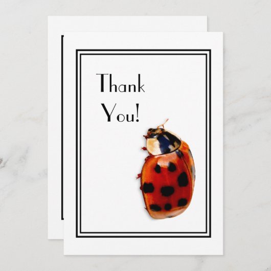 Thank You Chic Spotted Ladybug Kaart (Voorkant / Achterkant)