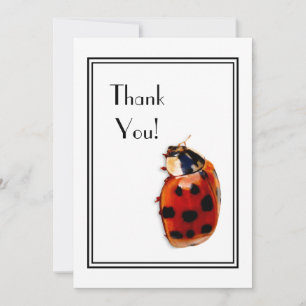 Thank You Chic Spotted Ladybug Kaart