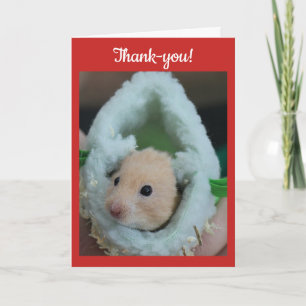 Thank-You de Hamster van de Vakantie Bedankkaart