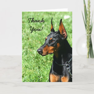 Thank You Doberman Pinscher greeting card Bedankkaart