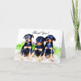 Thank You Doberman Pinscher pups greeting card Bedankkaart