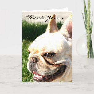 Thank you French bulldog greeting card Bedankkaart