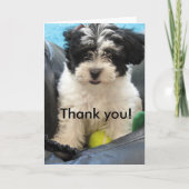 Thank you! Havanese Puppy Bedankkaart (Voorkant)