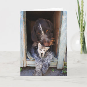 Thank-You het Wenskaart van de Hond en van het Bedankkaart