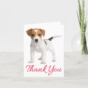 Thank You Jack Russell Terrier Puppy Dog Blank Bedankkaart