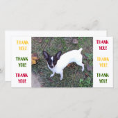 Thank You kaart (Voorkant / Achterkant)