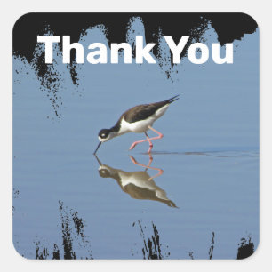 Thank You Kust Strandvogel Reflectie Waardering Vierkante Sticker