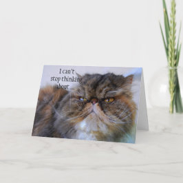 Thank You Persian Calico Kitty Princess Card Bedankkaart