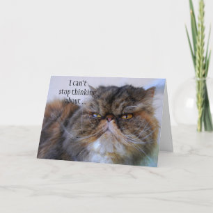 Thank You Persian Calico Kitty Princess Card Bedankkaart