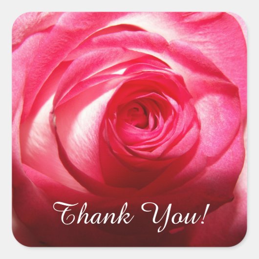 Thank You Rose Vierkante Sticker (Voorkant)