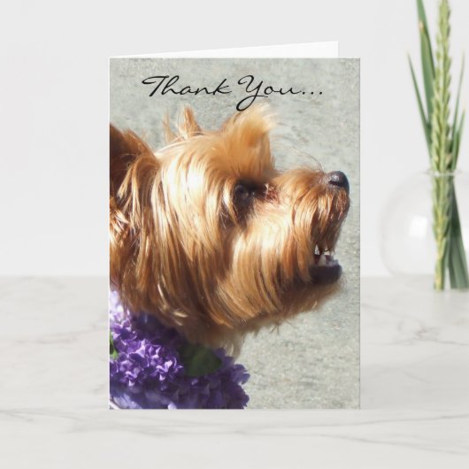 Thank You Yorkshire Terrier Greeting Card Bedankkaart (Voorkant)