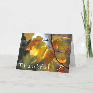 Thankful Autumn Foliage Wenskaart Bedankkaart