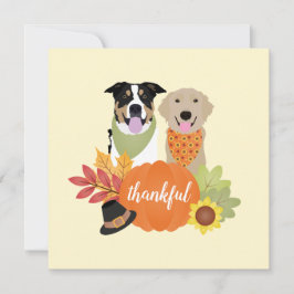 Thankful Dogs Thanksgiving Harvest Pumpkins