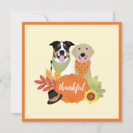 Thankful Dogs Thanksgiving Harvest Pumpkins Kaart