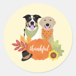 Thankful Dogs Thanksgiving Harvest Pumpkins Ronde Sticker