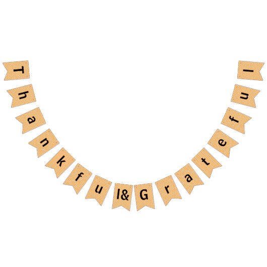 Thankful & Grateful Oranje Chevron - Bunting Flags Vlaggetjes (Alle)