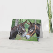 Thanks for being my friend donkeys bedankkaart (Voorkant)