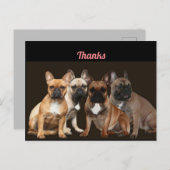 Thanks  Französische Bulldogge Postkarte Briefkaart (Voorkant / Achterkant)