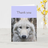 Thanks Sincere White Wolf Animal Scripting Kaart (Gele Bloem)