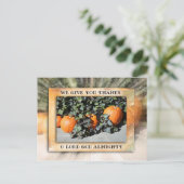 Thanksgiving 1 feestdagenkaart (Staand voorkant)