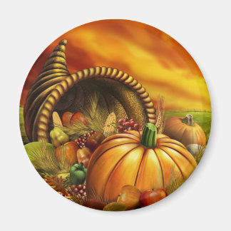 THANKSGIVING 2009 MAGNEET