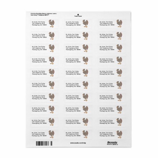 Thanksgiving Big Turkey Return Address Sticker (Full Sheet)