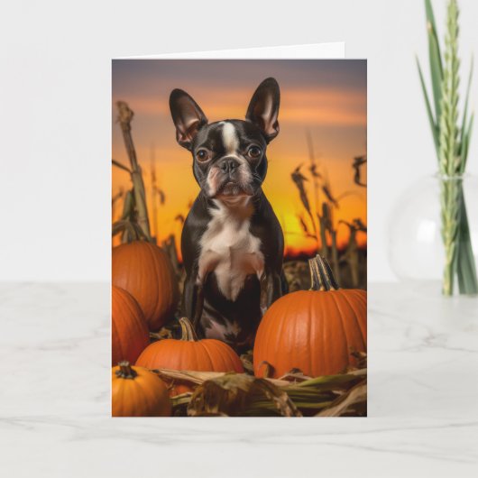 Thanksgiving Boston Terrier Feestdagen Kaart (Voorkant)