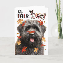 Thanksgiving Bouvier Dog Laten we het over Turkije