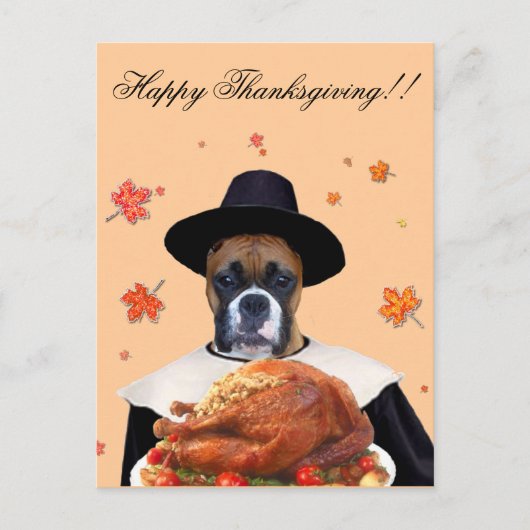 Thanksgiving Boxer Dog briefkaart (Voorkant)