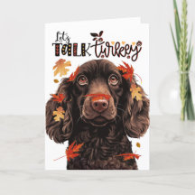 Thanksgiving Boykin Spaniel Dog Lets Talk Turkije