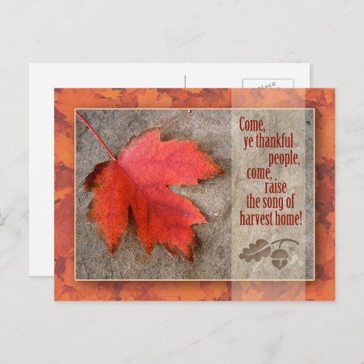 Thanksgiving Briefkaart (Voorkant / Achterkant)