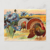 Thanksgiving Briefkaart van feestkalkoenen (Voorkant)