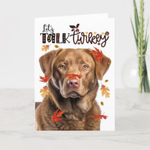 Thanksgiving Chesapeake Bay Dog Laten we Turkije p