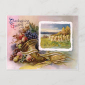 Thanksgiving Cornucopia Briefkaart (Voorkant)