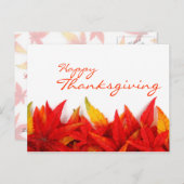 Thanksgiving Dag Briefkaart (Voorkant / Achterkant)