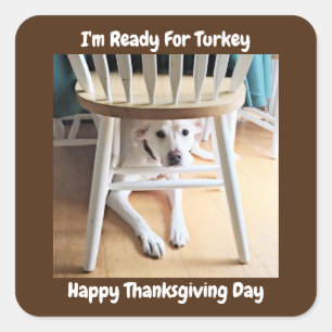 Thanksgiving Dag Cute White Dog onder Tabel Brown Vierkante Sticker