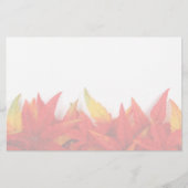 Thanksgiving Dag Stationery Briefpapier (Voorkant)