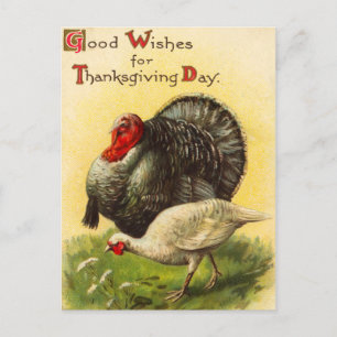  Thanksgiving Dag Turkije Briefkaart