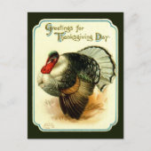 Thanksgiving Dag Turkije Briefkaart (Voorkant)