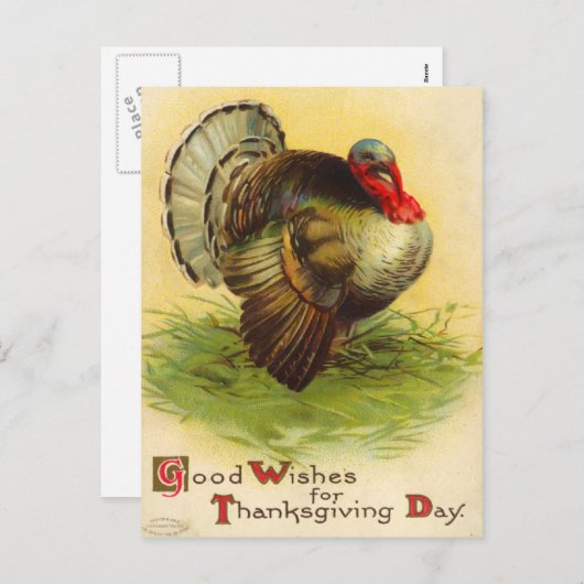 Thanksgiving Dag Turkije Briefkaart (Voorkant / Achterkant)