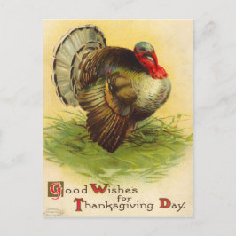 Thanksgiving Dag Turkije Briefkaart