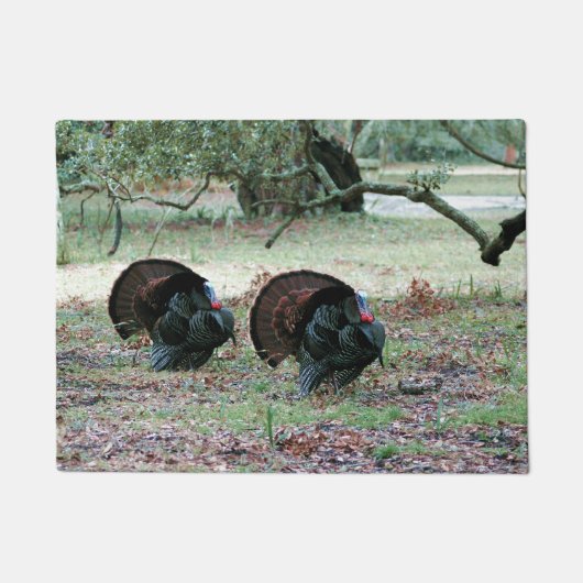 Thanksgiving Dag Wilde Kalkoenen in een open veld Deurmat (Voorkant)
