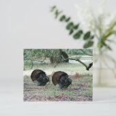 Thanksgiving Dag Wilde Kalkoenen in een open veld Feestdagenkaart (Staand voorkant)